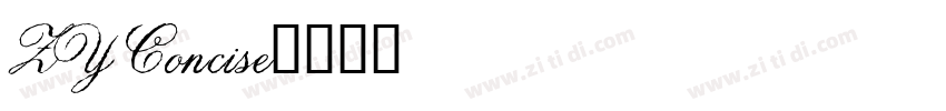 ZY Concise字体转换